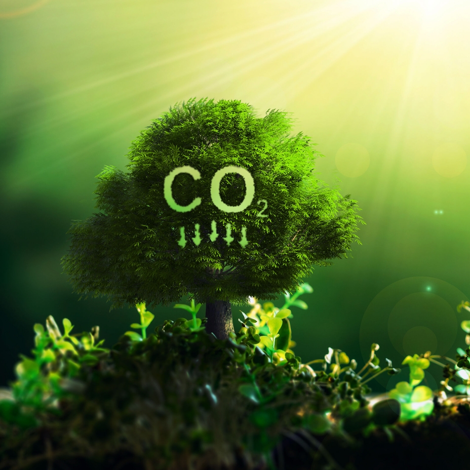 Carbon capture, utilization and storage
