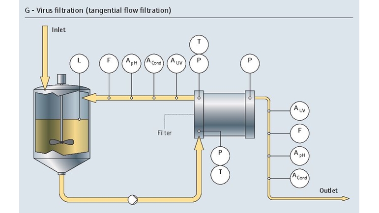 virus filtration process