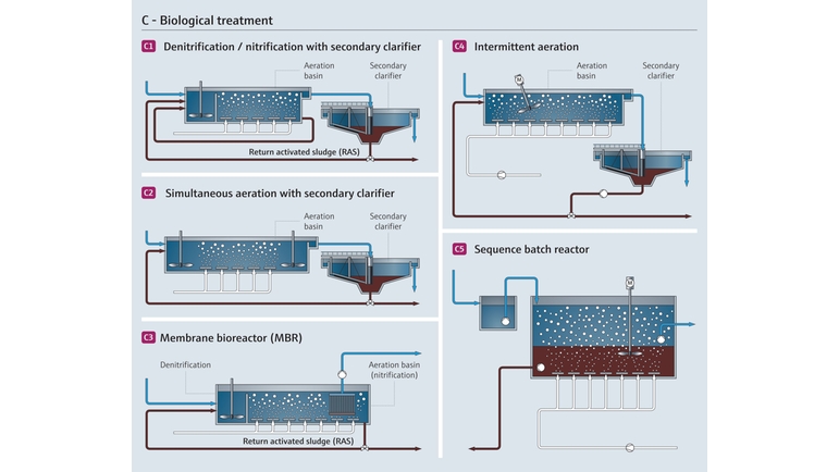 Biological wastewater treatment