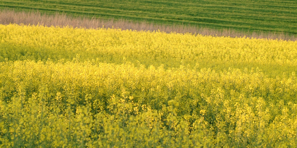 See our assessment on corporate social responsibility Endress+Hauser EcoVadis Premium Report